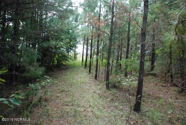 6562 Huntsboro Road Oxford, NC 27565 - Photo 54 of 72 small photos053