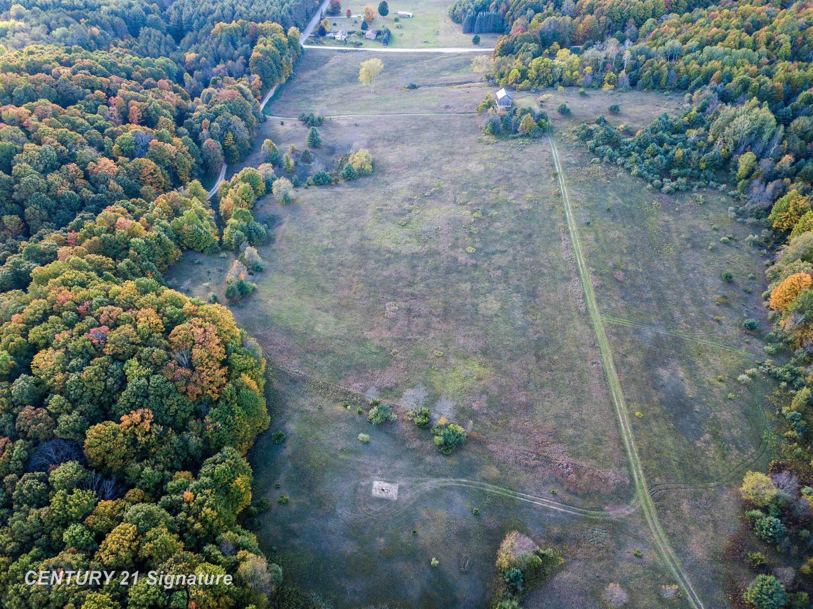 V/l Ritt Road Breckenridge, MI 48615 - Photo 7 of 11