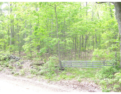 Lot #2 Breen Road Hardwick, MA 01037 - Photo 1 of 1 Gallery Image 1