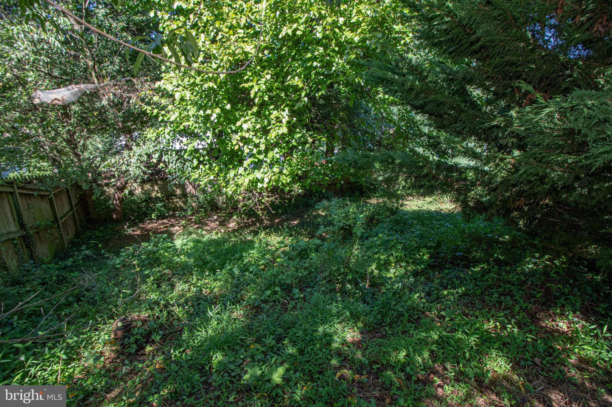 14224 Alderton Road Silver Spring, MD 20906 - Photo 45 of 52