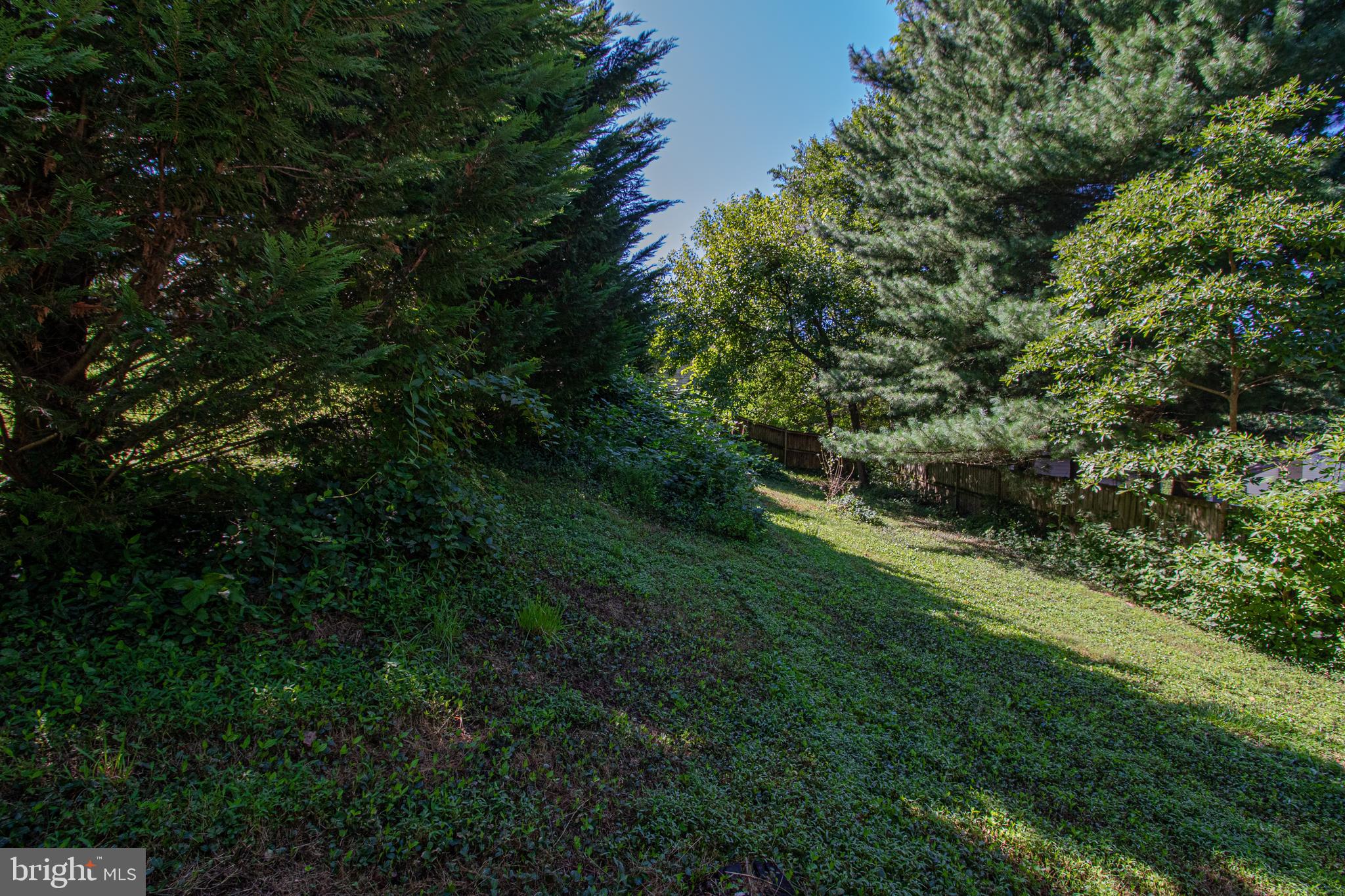 14224 Alderton Road Silver Spring, MD 20906 - Photo 48 of 52