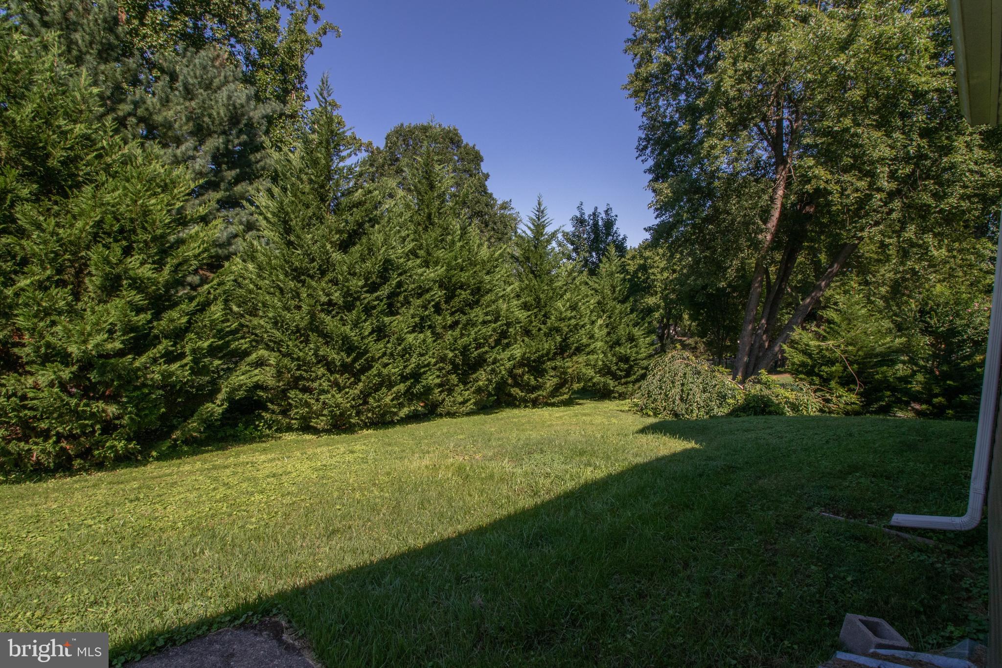14224 Alderton Road Silver Spring, MD 20906 - Photo 51 of 52