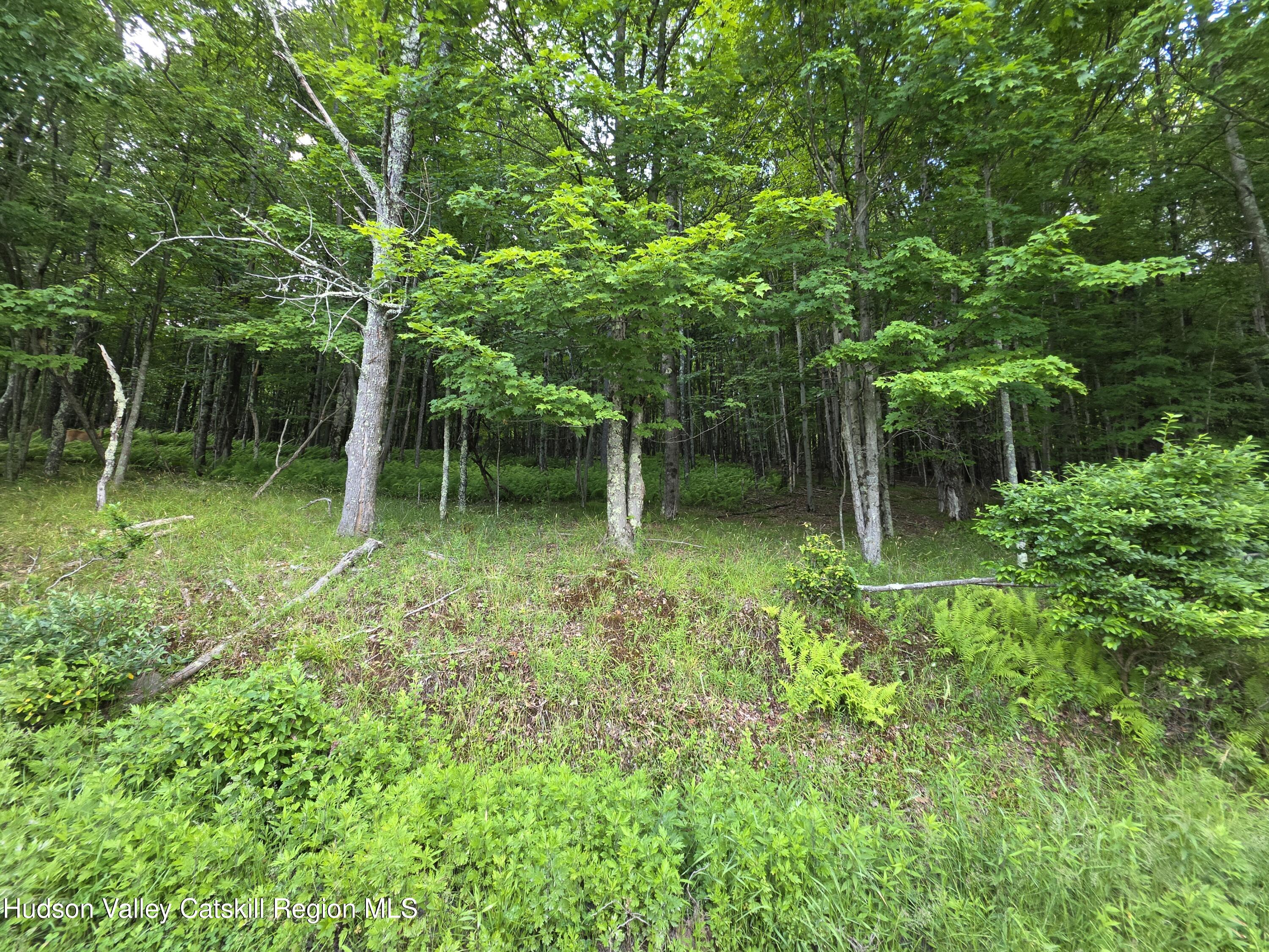 0 Timberwolf Road Liberty, NY 12754 - Photo 21 of 27 20260629_154952(0) a