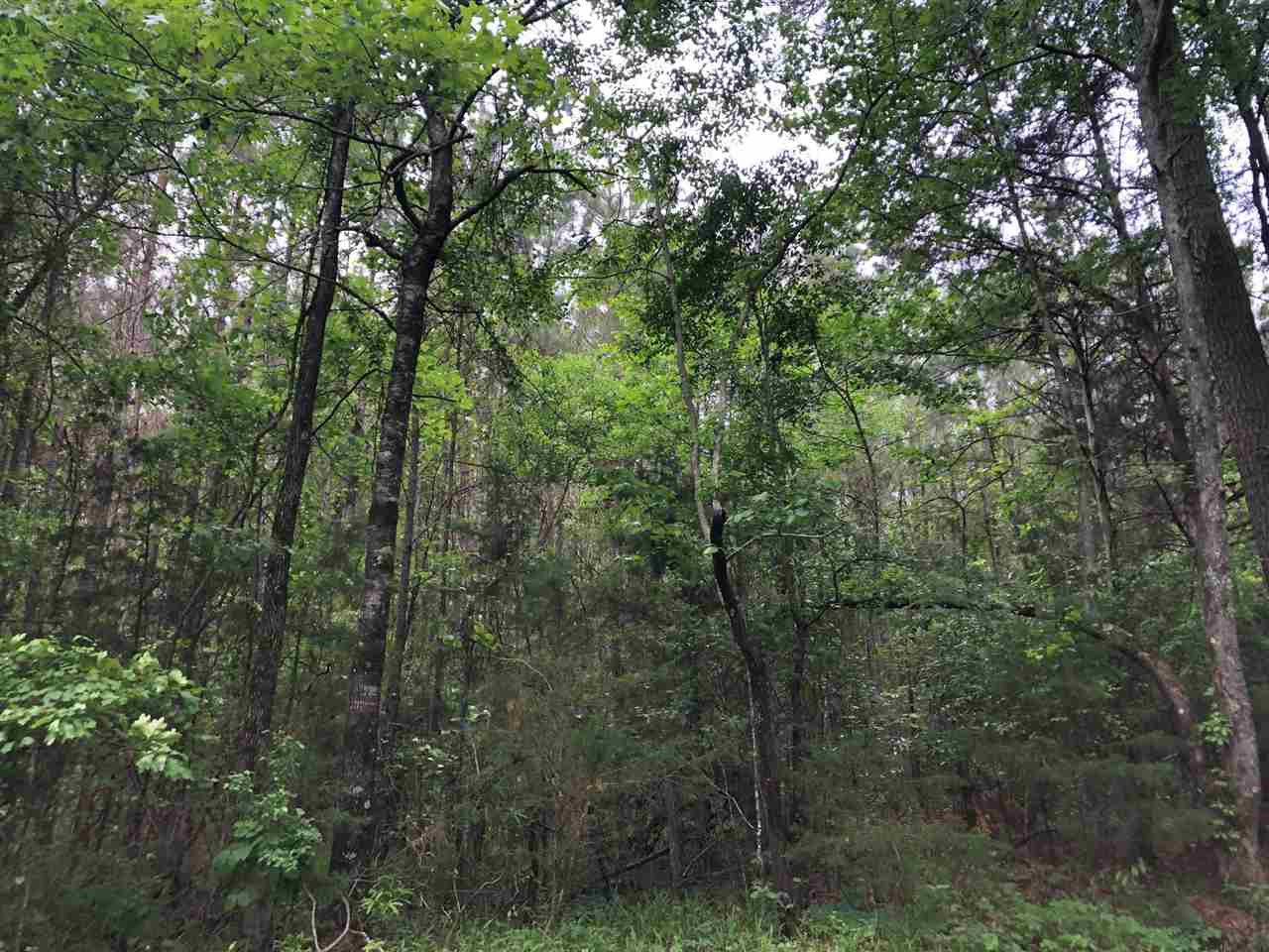 2 Truitt Road Pickens, MS 39146 - Photo 3 of 9 Photo 3