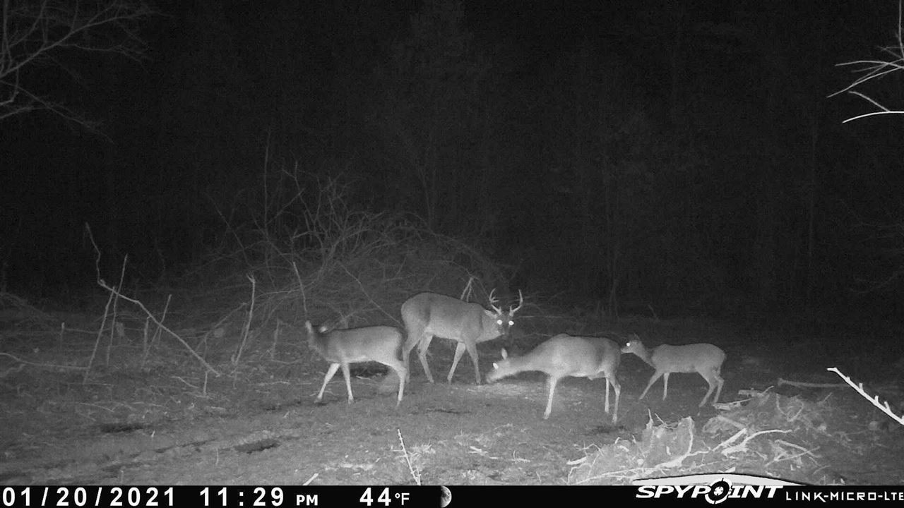 2 Truitt Road Pickens, MS 39146 - Photo 5 of 9 Photo 5