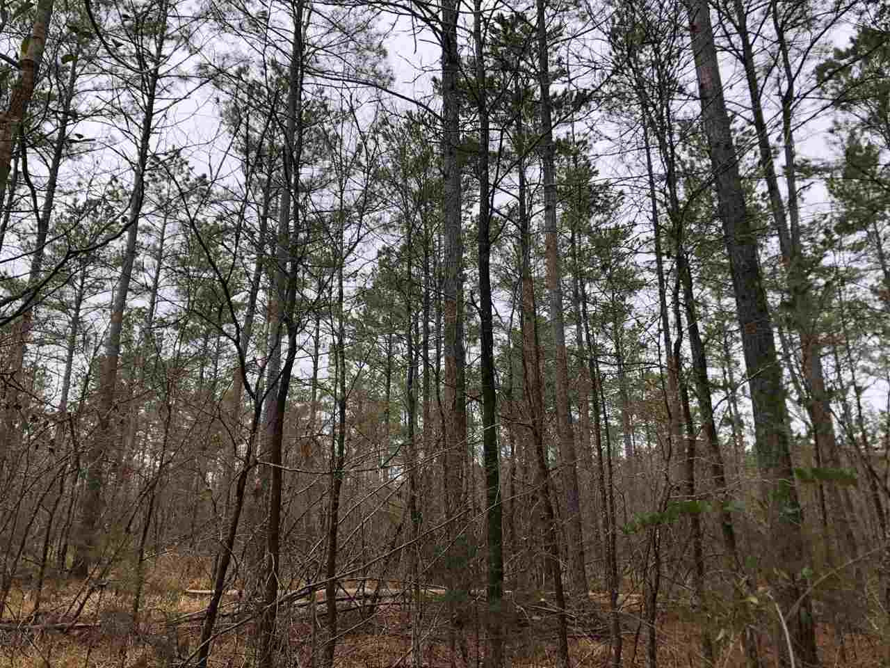 2 Truitt Road Pickens, MS 39146 - Photo 8 of 9 Photo 8