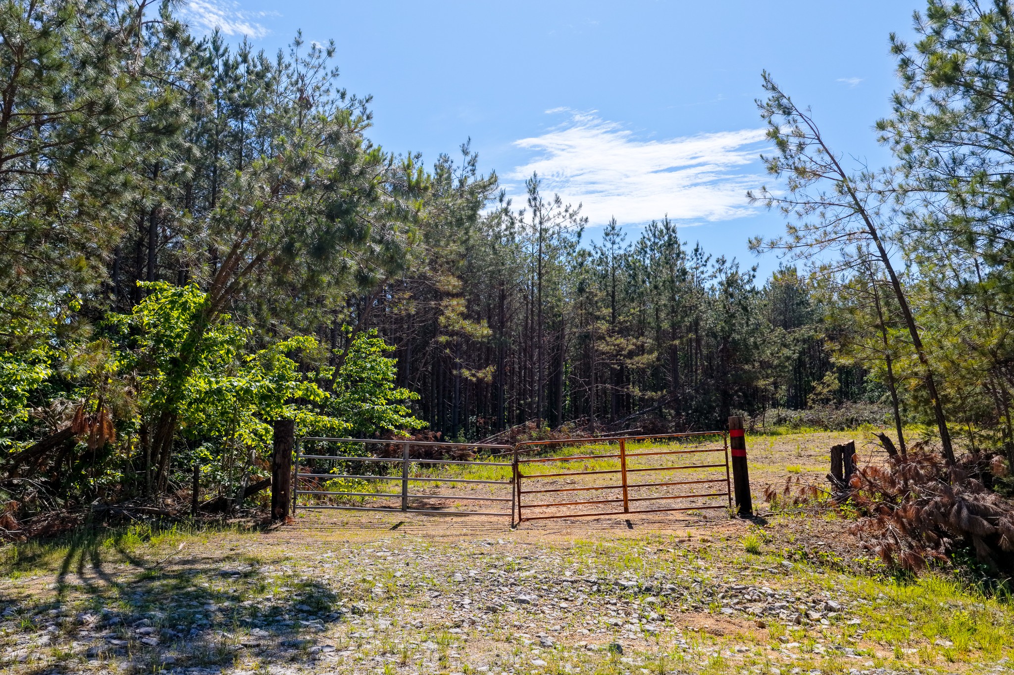 0 Darbytown Road Hohenwald, TN 38462 - Photo 3 of 16 Gallery Image 3