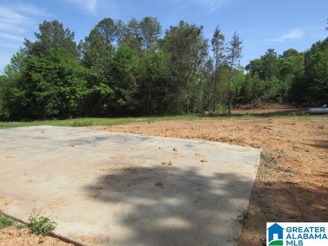 596 Possum Trot Road, Unit 1 Piedmont, AL 36272 - Photo 14 of 15 Gallery Image 14