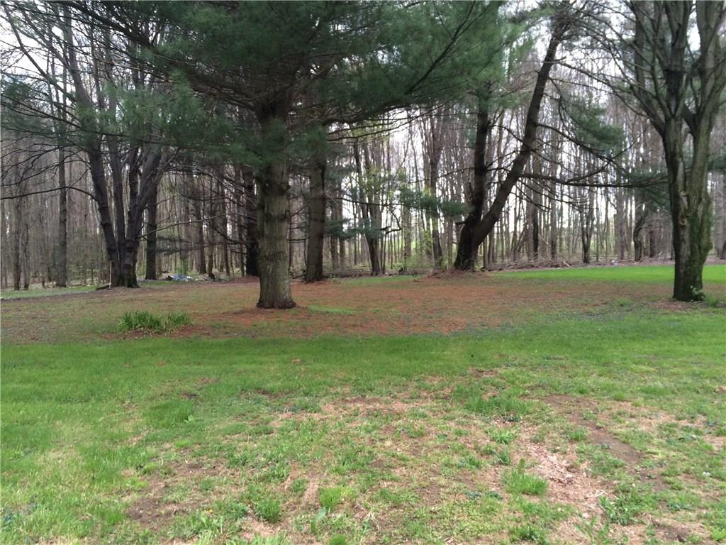 2355 McMaster Road Atlantic, PA 16111 - Photo 23 of 23