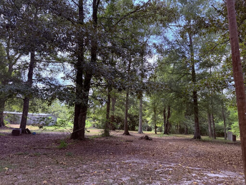 455 Spur Line Road Ellisville, MS 39437 - Photo 10 of 11 Gallery Image 10