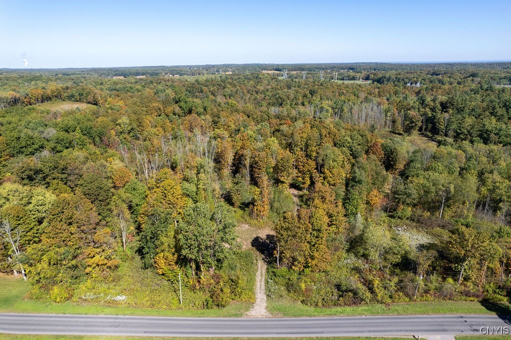 0 Gilbert Mills Road Phoenix, NY 13135 - Photo 3 of 10