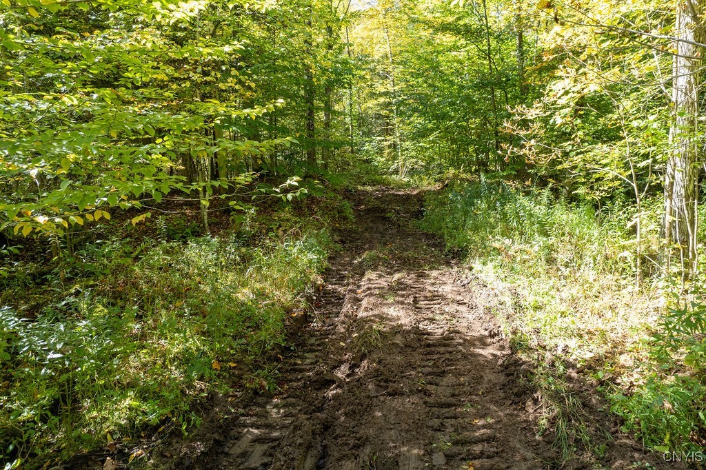 0 Gilbert Mills Road Phoenix, NY 13135 - Photo 6 of 10