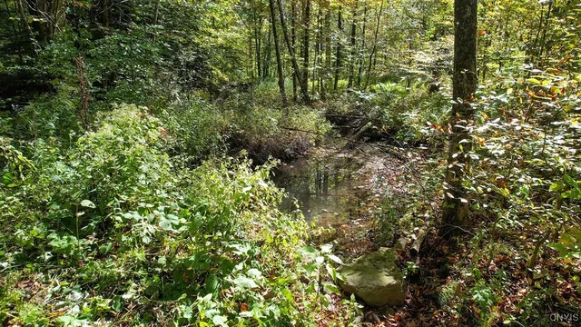 $750,000 | 0 Gilbert Mills Road, Phoenix, NY 13135