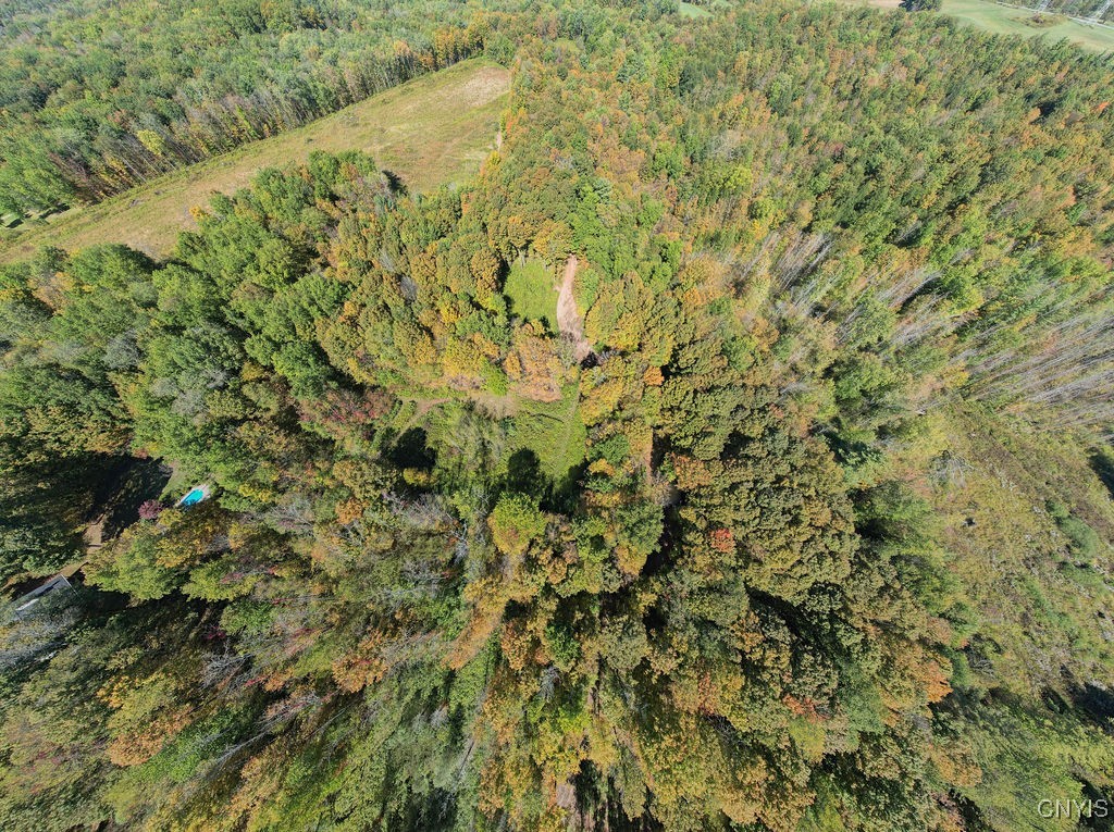 0 Gilbert Mills Road Phoenix, NY 13135 - Photo 10 of 10