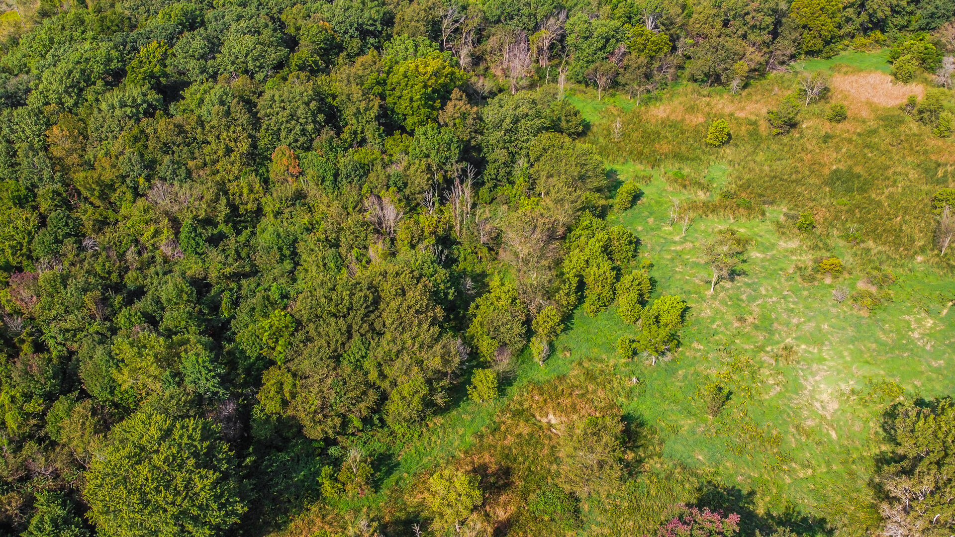 0 North Meridian Road Chesterton, IN 46304 - Photo 12 of 21 1920x1080