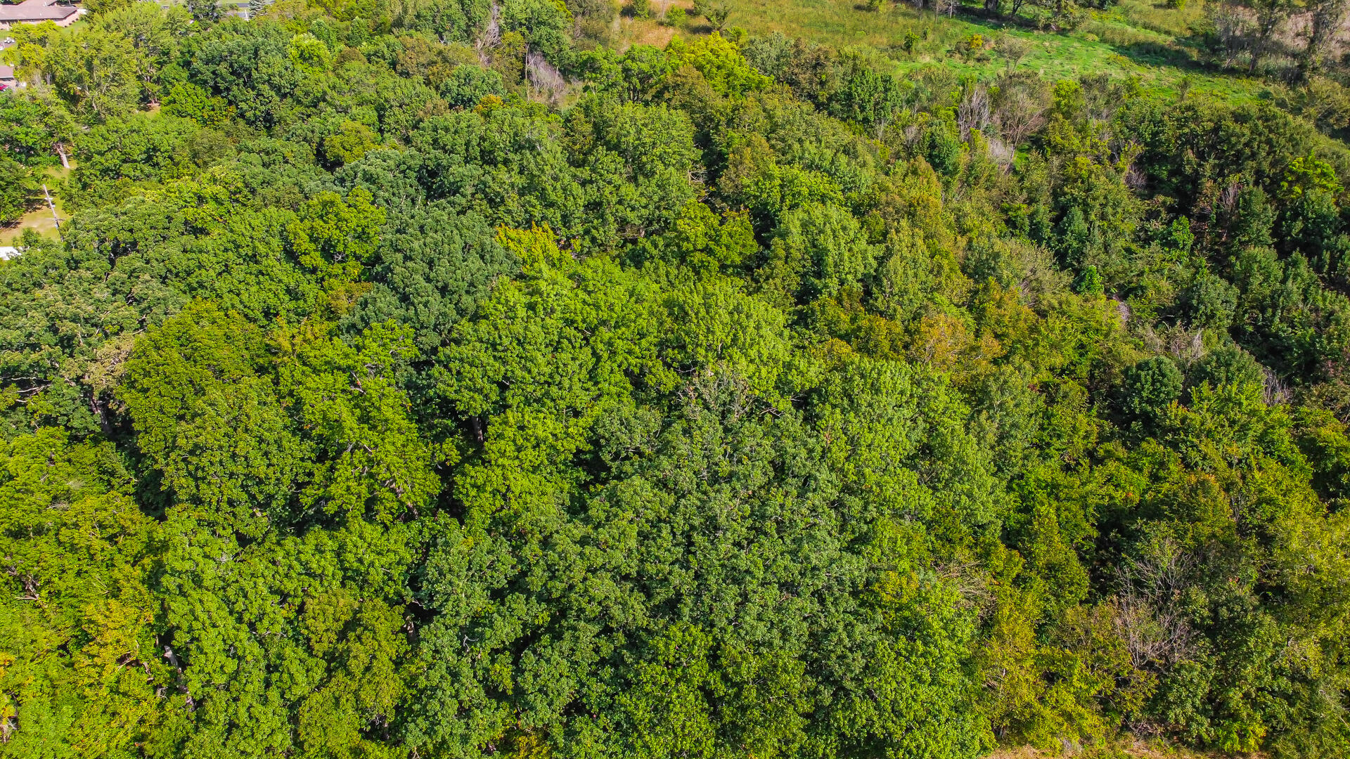 0 North Meridian Road Chesterton, IN 46304 - Photo 9 of 21 1920x1080