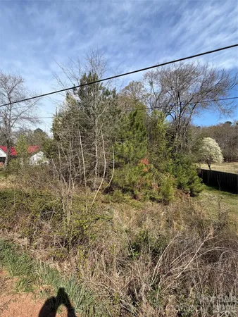 a view of a dry yard