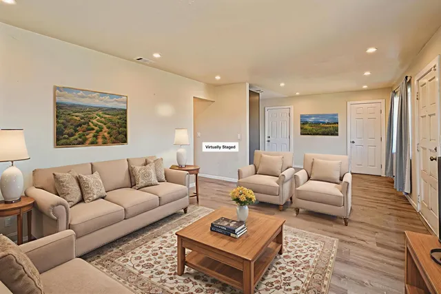 a living room with furniture potted plant and a rug