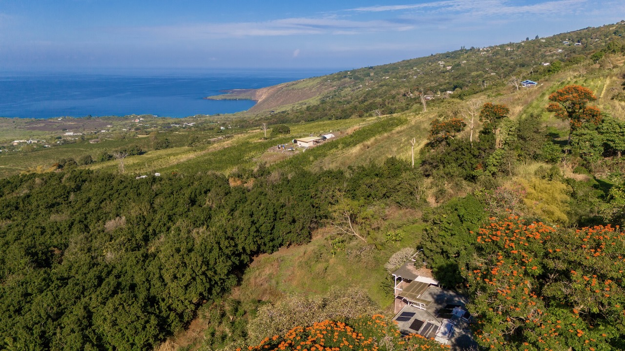 83-5621 Hawaii Belt Road Captain Cook, HI 96704 - Photo 4 of 28