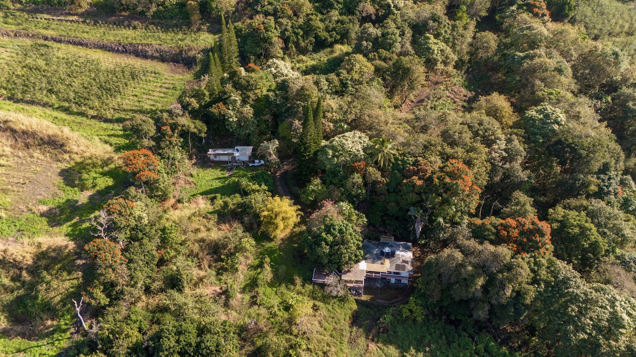 83-5621 Hawaii Belt Road Captain Cook, HI 96704 - Photo 5 of 28