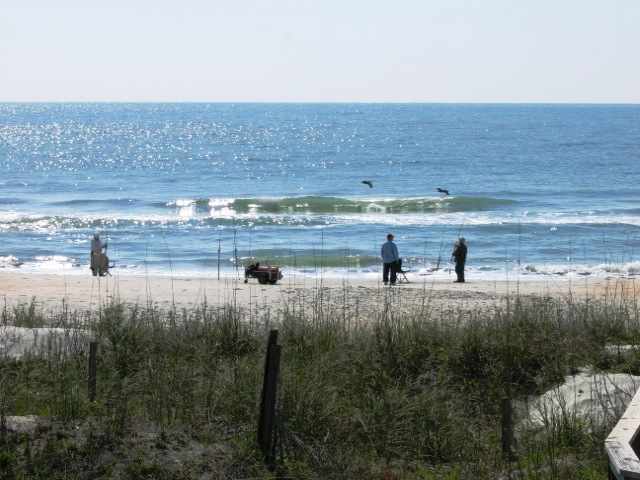 292 Otter Run Road Pawleys Island, SC 29585 - Photo 15 of 15 Gallery Image 15