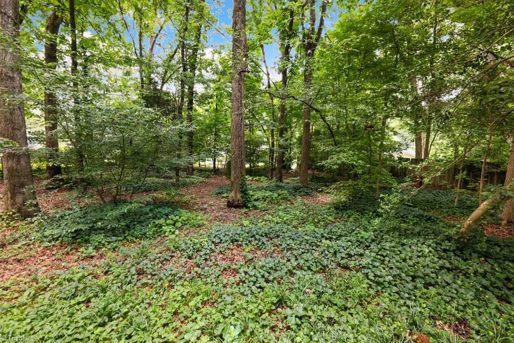440 Briarlea Road Winston-Salem, NC 27104 - Photo 50 of 50 Gallery Image 50