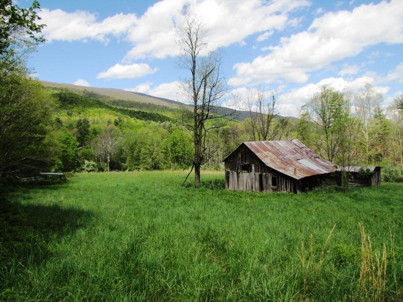 329 Trout Run Road Waiteville, WV 24984 - Photo 6 of 91 Gallery Image 6