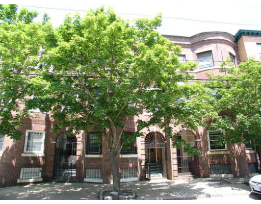 101 Cedar Street, Unit 2 Boston, MA 02119 - Photo 1 of 1 front view of a building with a tree