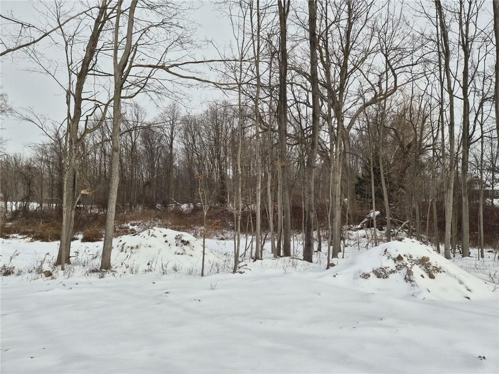 7078 Ontario Center Road Ontario, NY 14519 - Photo 9 of 11 backyard from the great room
