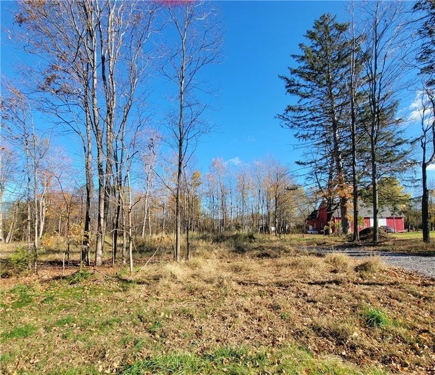 7078 Ontario Center Road Ontario, NY 14519 - Photo 10 of 11 the lot before the house was started
