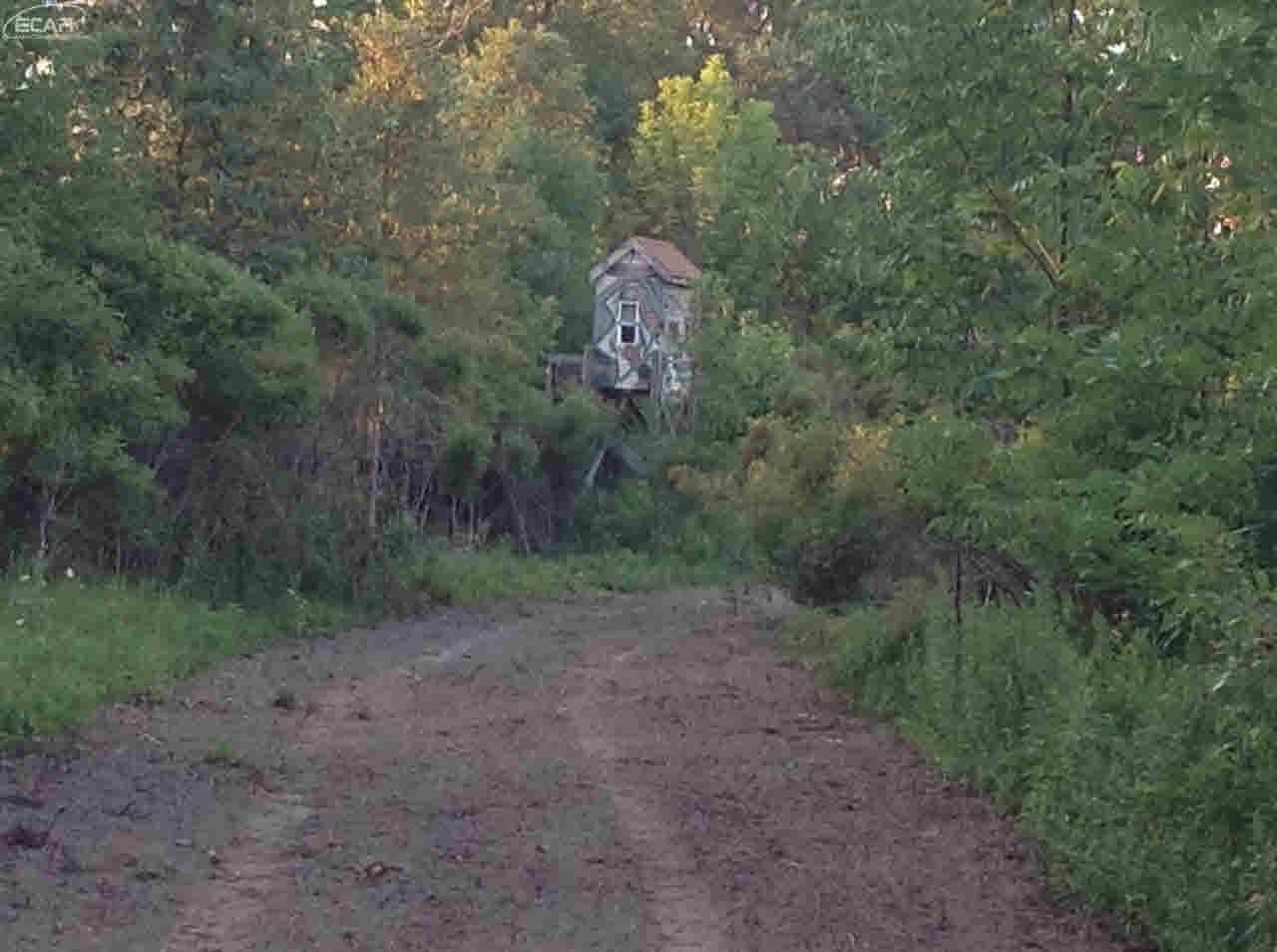 0 Nettney Capac, MI 48014 - Photo 9 of 32