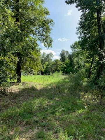 597 White Pond Road Williston, SC 29853 - Photo 2 of 5