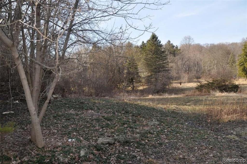 36391 Howard Road Farmington Hills, MI 48331 - Photo 8 of 17