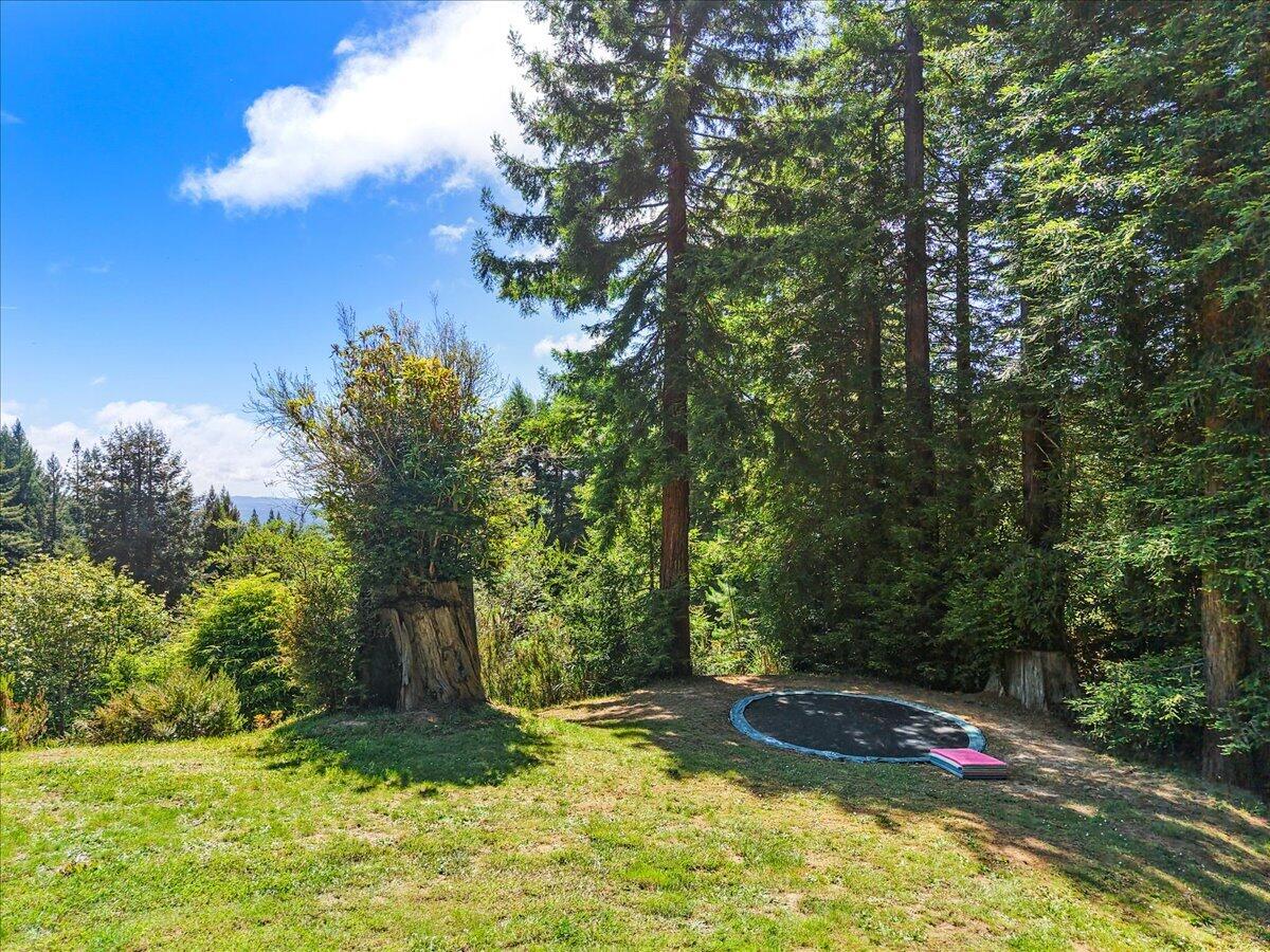 186 Shale Road Kneeland, CA 95549 - Photo 56 of 77