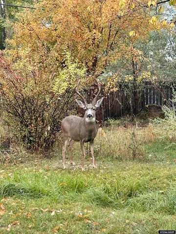 $365,000 | 442 Eugene Street, Lander, WY 82520