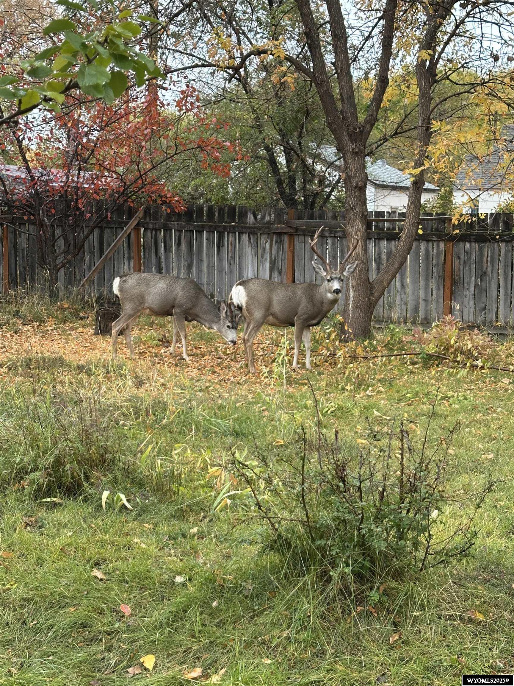 442 Eugene Street Lander, WY 82520 - Photo 37 of 47