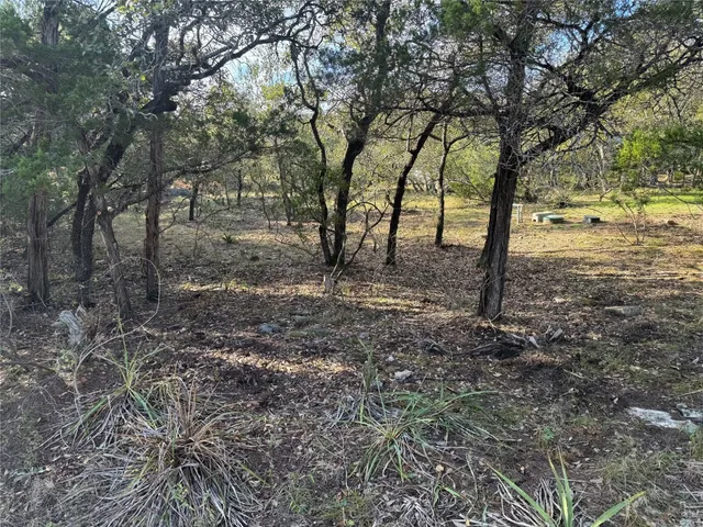 a view of some trees in the middle of a yard