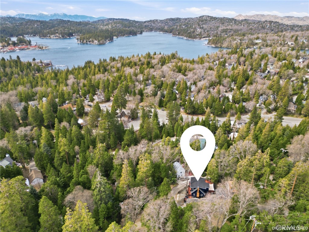 170 Fir Terrace Cedar Glen, CA 92321 - Photo 44 of 48