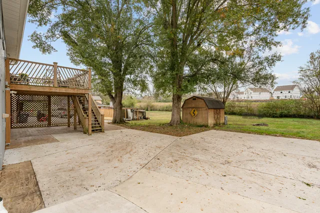 a view of a yard with a tree