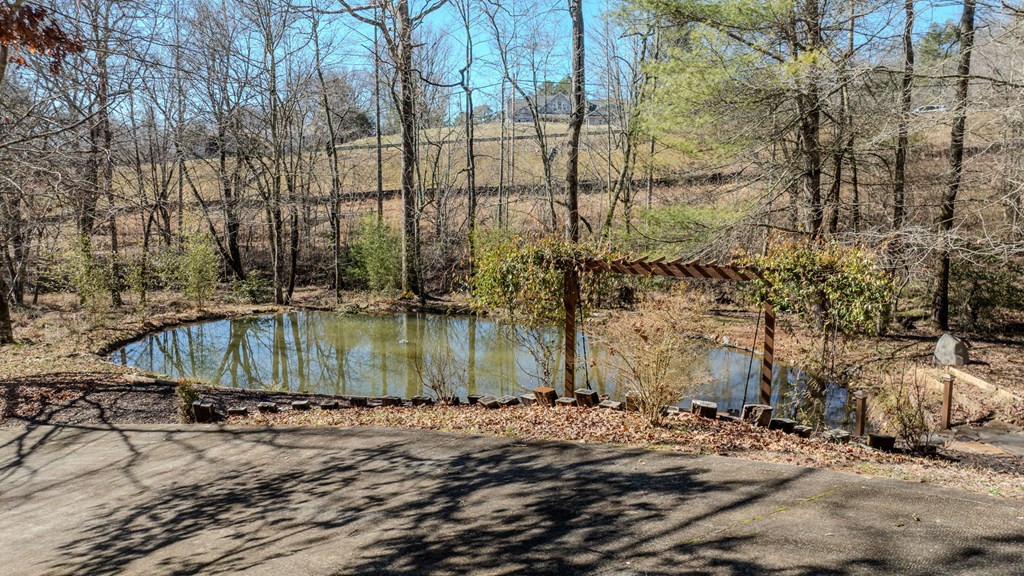 214 Hedden Road Murphy, NC 28906 - Photo 15 of 65