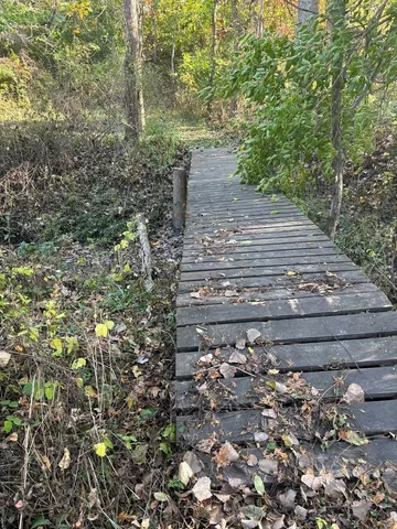 a view of backyard with wooden fence and trees