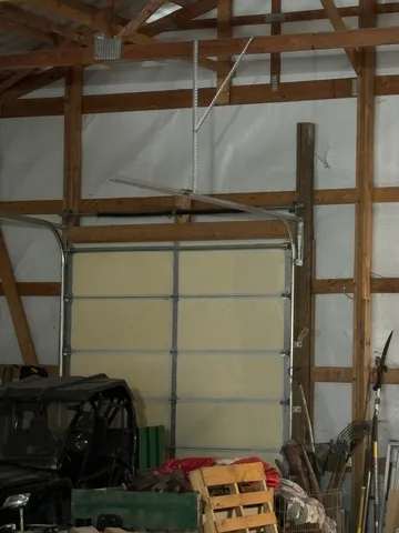 a close up of a plant in a garden