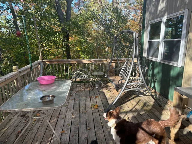 a view of room with a floor to ceiling window and wooden floor