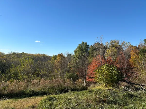 a view of a bunch of trees in a field