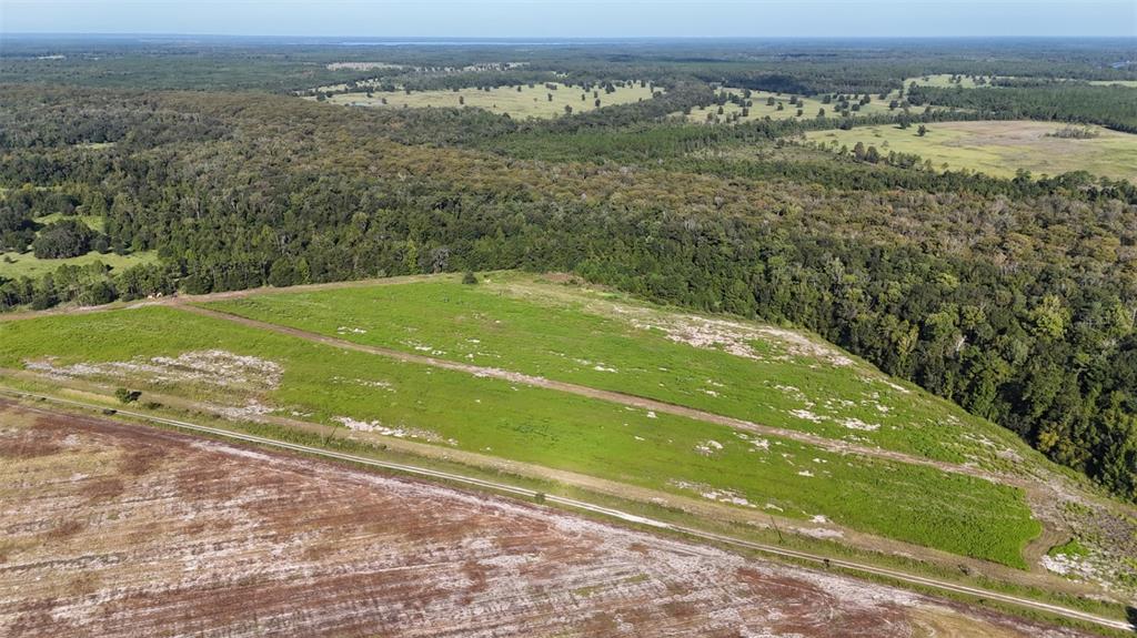 216 Northeast 85th Ave Road Citra, FL 32113 - Photo 3 of 12