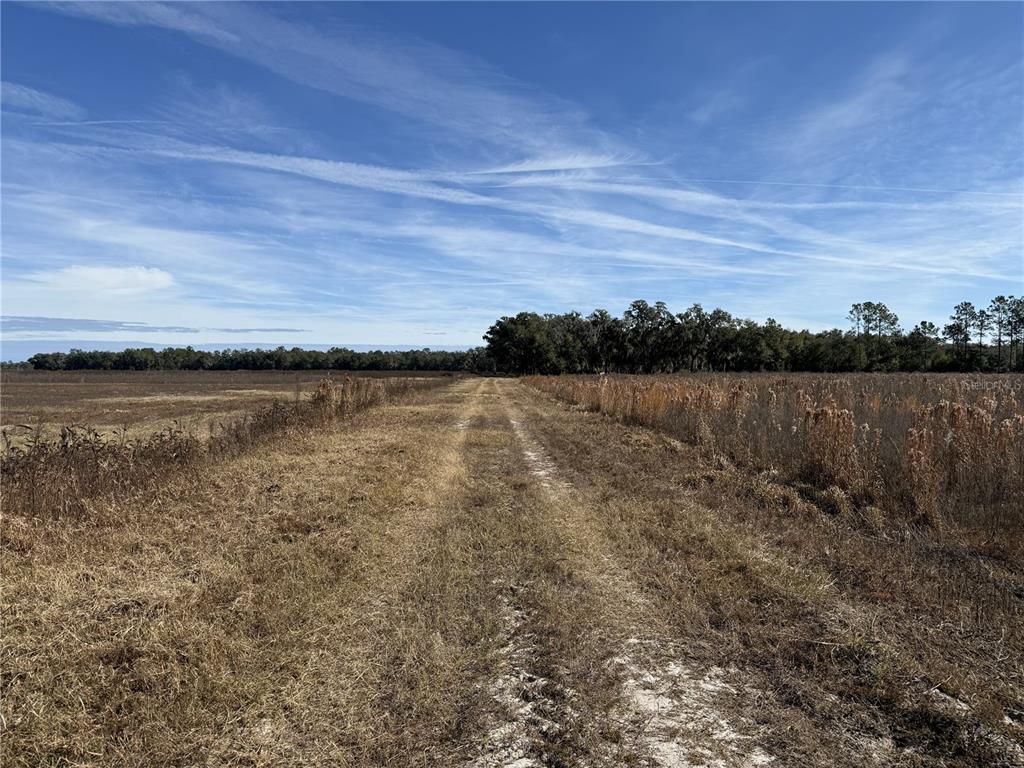216 Northeast 85th Ave Road Citra, FL 32113 - Photo 4 of 12 a view of a lake view