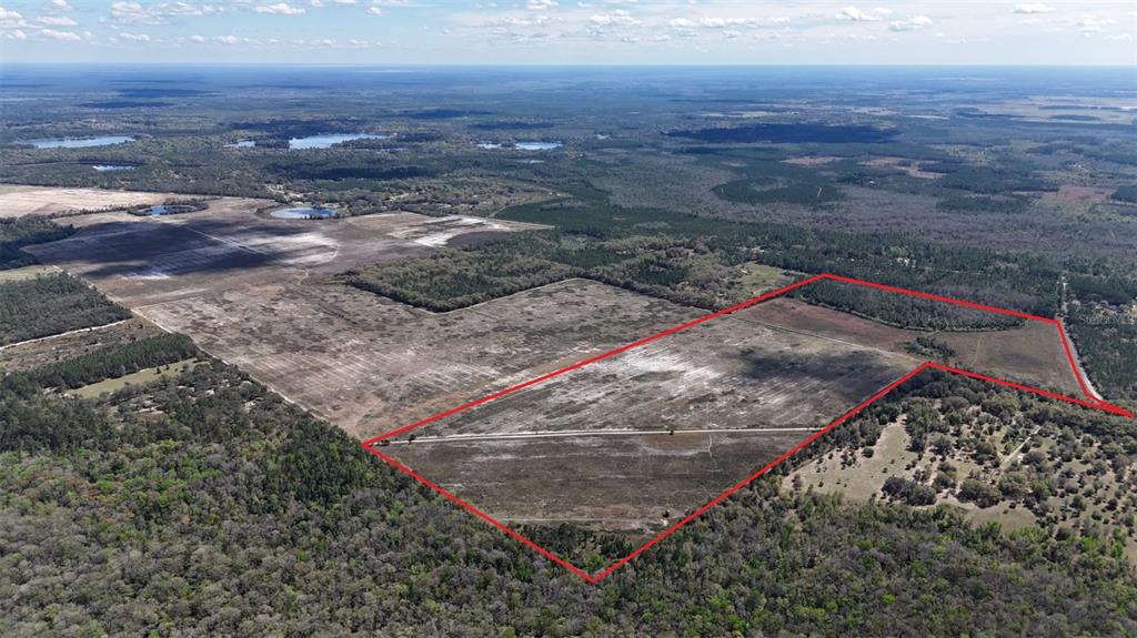 216 Northeast 85th Ave Road Citra, FL 32113 - Photo 8 of 12