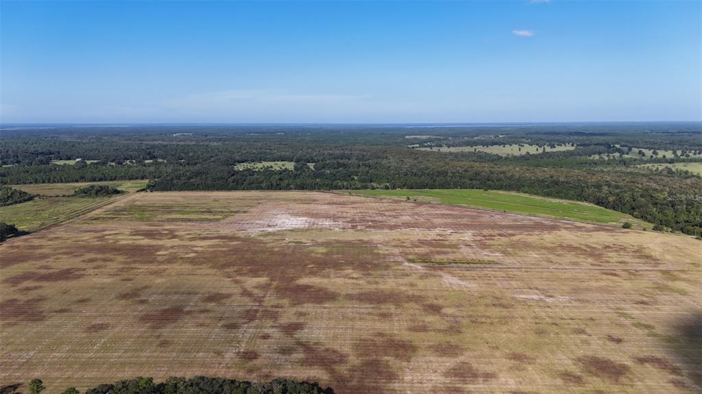 216 Northeast 85th Ave Road Citra, FL 32113 - Photo 9 of 12