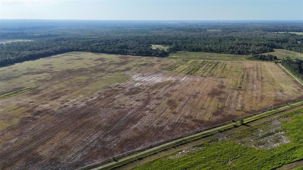 216 Northeast 85th Ave Road Citra, FL 32113 - Photo 10 of 12