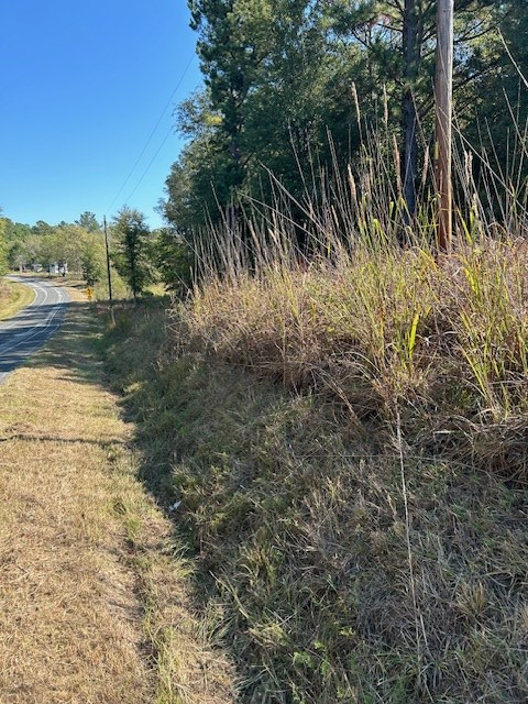 0 Lot 5 Catfish Cove Road Waterloo, SC 29384 - Photo 13 of 16 Gallery Image 13